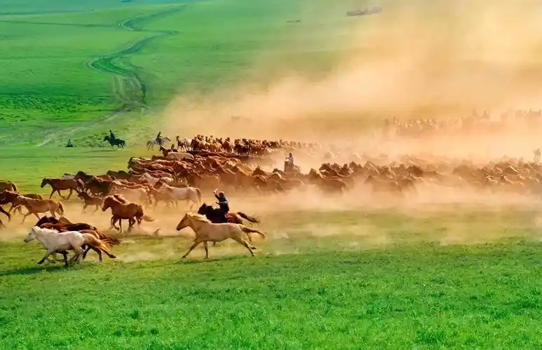 第二届上邦国际摄影俱乐部年赛7月14日参赛作品选登