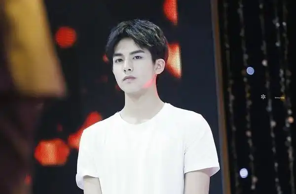 有无宋威龙早期硬照