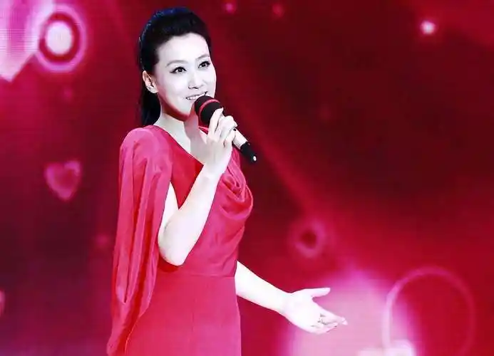 谭晶为什么不演戏(歌手谭晶的成名史与现状分析)