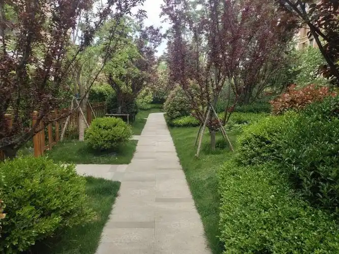 龙湖紫云台,滨海东路653号-烟台龙湖紫云台二手房,租房,房价-烟台安居