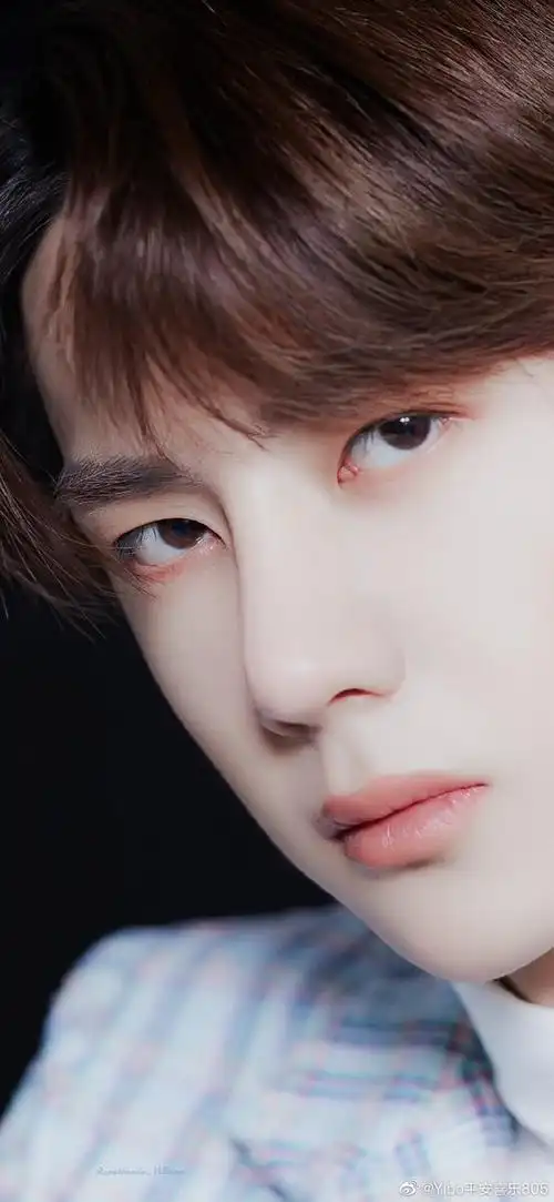 王一博73蝴蝶写真格子上衣