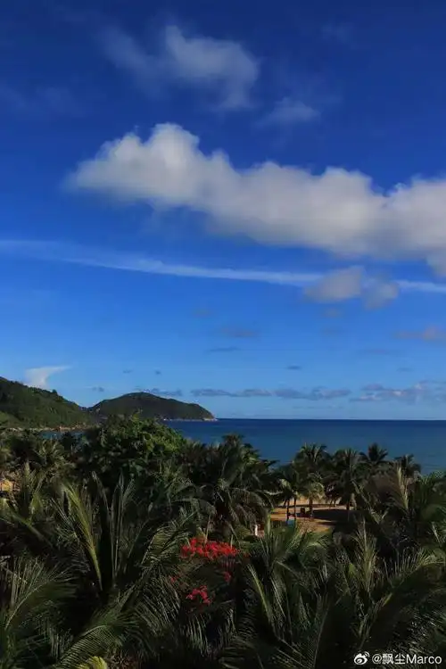 三亚离岛免税政府消费券