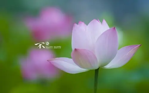 除了生死这三件事一生只能做一次不做和多做都对人有害