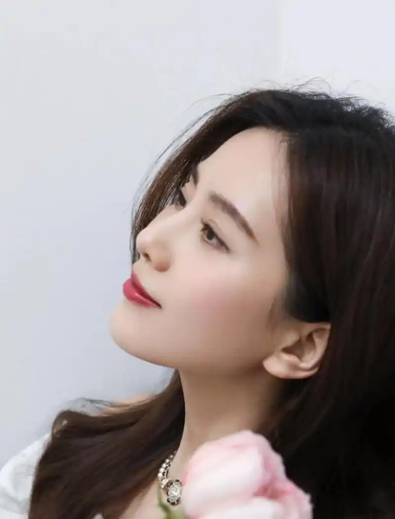 刘诗诗侧颜美照