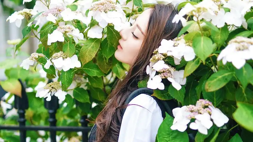 迪丽热巴明星风尚壁纸17