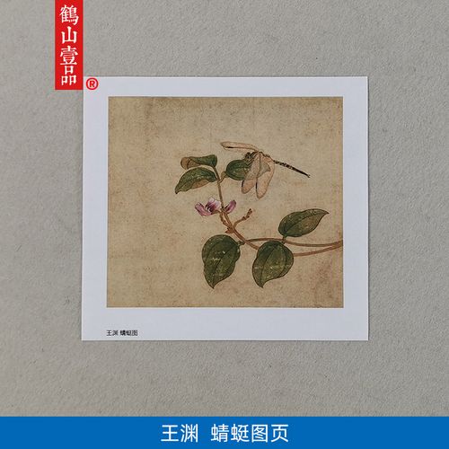 名画复制品宋画小品王渊蜻蜓图工笔草虫画国画艺术微喷临摹装饰画