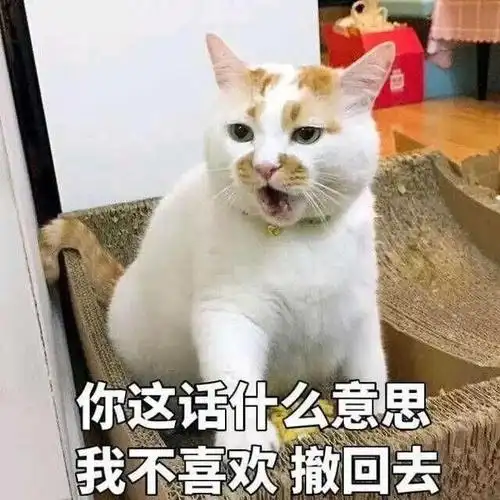 表情包 沙雕