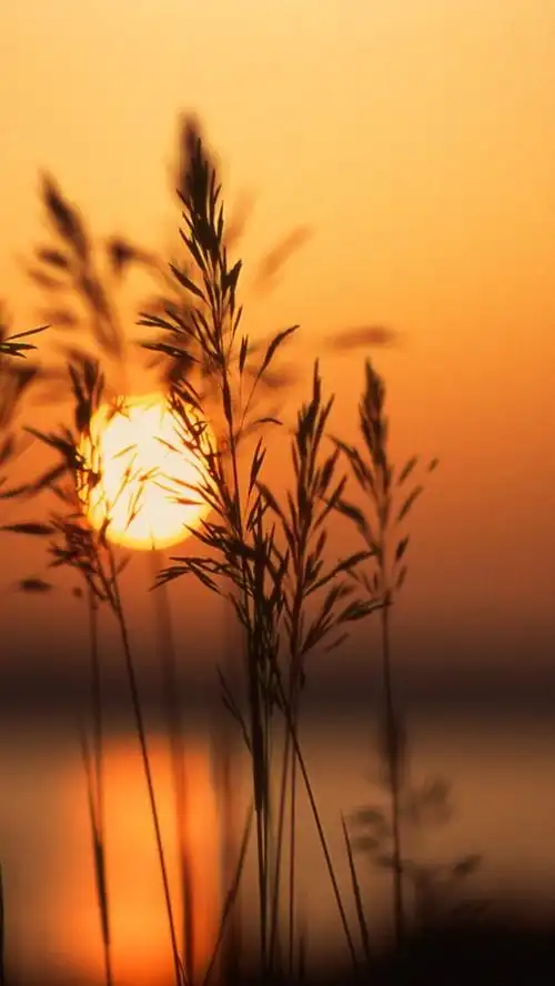 iphone5唯美夕阳壁纸下载