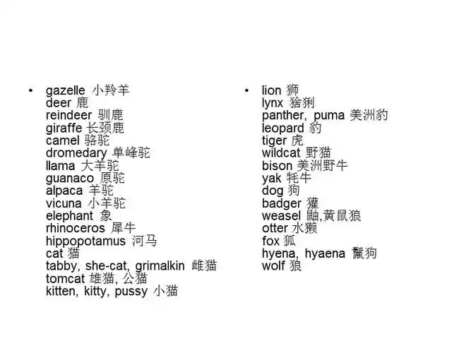 各种动物的英文名ppt
