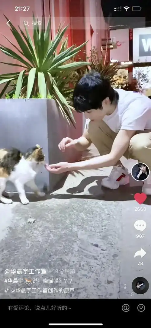 210805 华晨宇随机掉落的日常碎片 和猫咪上演"它逃他追"的小游戏