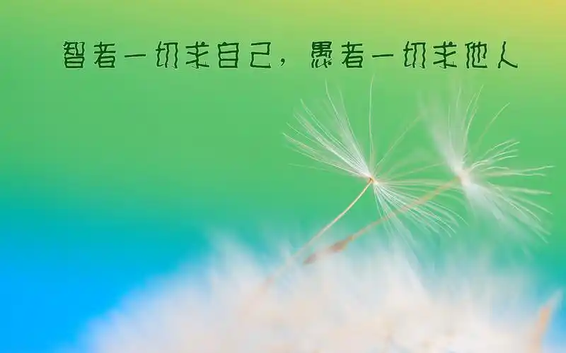 简约励志奋斗文字桌面壁纸