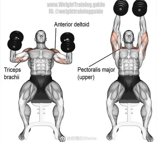 这几个超级组训练动作刺激你的上胸帮你打造大胸肌