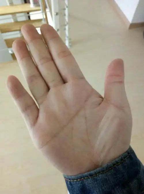 免费手相测试扫一扫免费手相扫一扫测试法