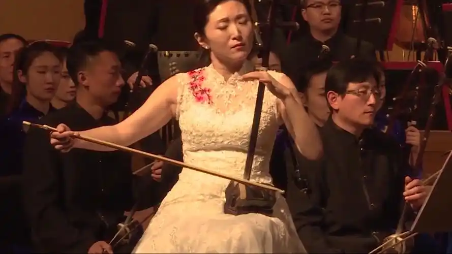 二胡与乐队合奏 《诗咏国魂》2 殇祭 二胡 于红梅