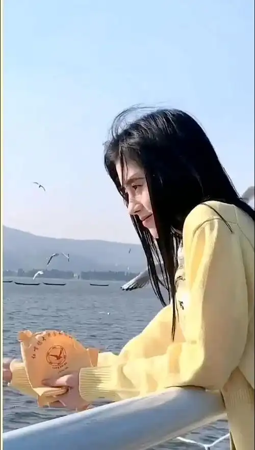 鞠婧祎喂海鸥看着真可爱#鞠婧祎 #明星大现场