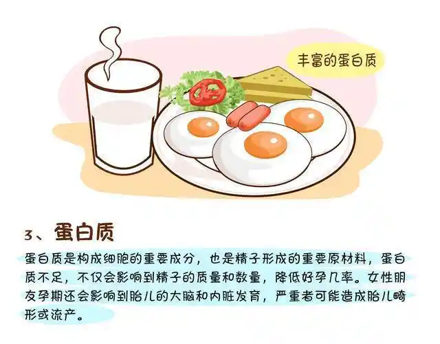 脂肪难减?看看你的蛋白质够吗?