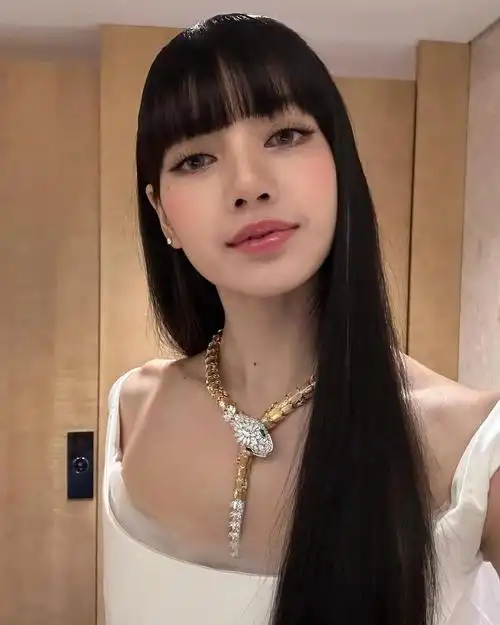 blackpink  #bornpink  #lisa  #lisa