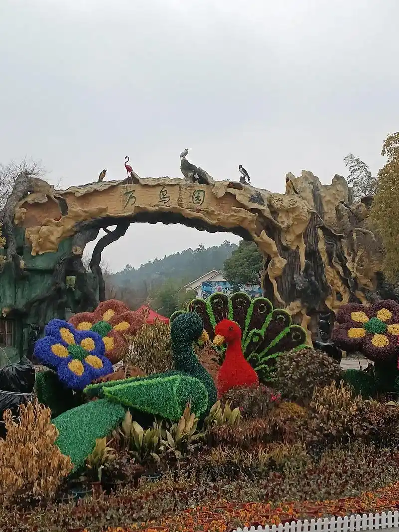 游玩穹窿山景区一万鸟园小王山