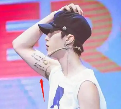 范丞丞是一位年轻的流行歌手和演员,同时也是一个真正钟爱纹身的人.