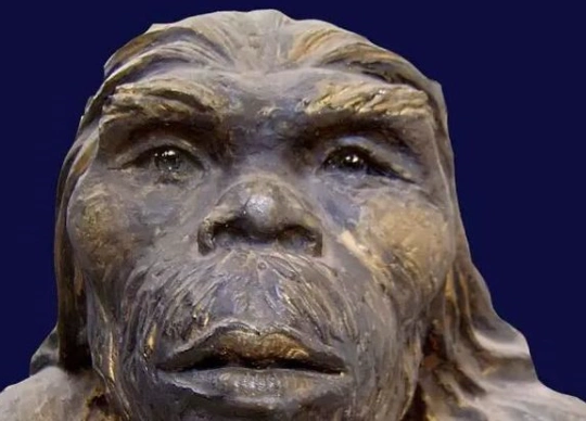 元谋人是中国最早的猿人吗,还是另有其他?