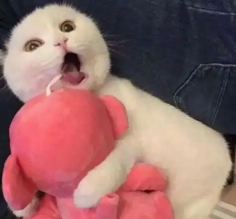 搞怪动物头像 - 搜狗图片搜索