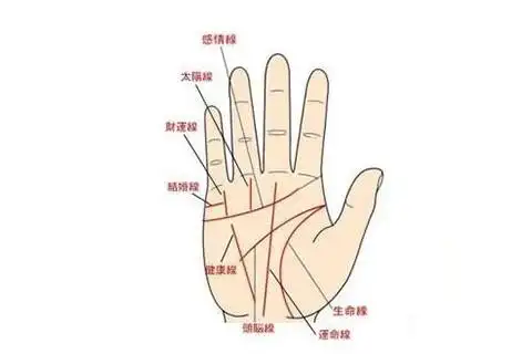 女人婚姻线手相图解婚姻线的各种变化代表什么
