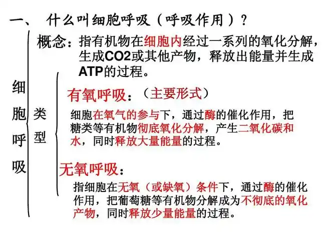 人教版教学课件atp的主要来源——细胞呼吸1ppt