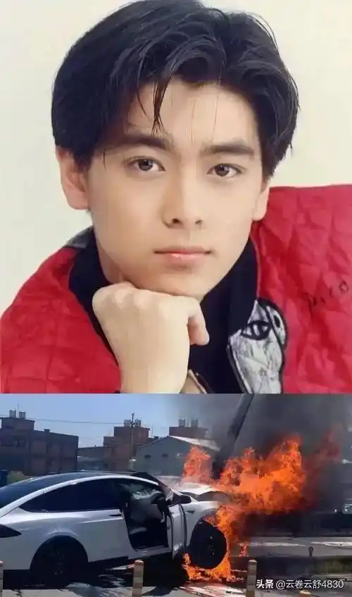 林志颖被罚款啥情况?