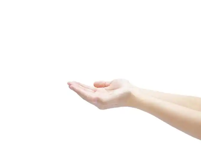 白底手势人物手势双手捧起托起手势