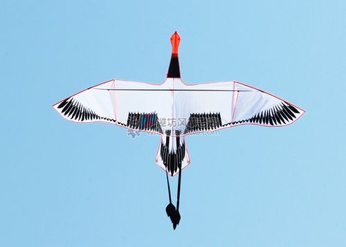 潍坊风筝老店新款微风热卖前撑杆黑白天鹅风筝优质漂亮好飞包邮