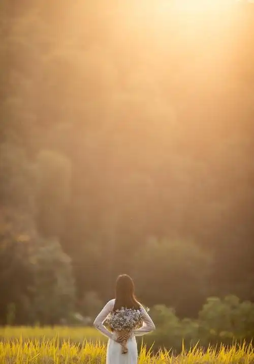 稻田拍摄美女人像,教你7个摄影技巧,满足好看唯美有意境的要求