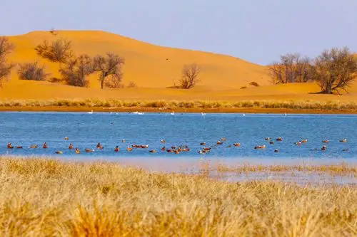 腾格里沙漠五湖穿越攻略-四天三晚