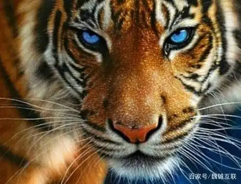 心理测试:三只老虎的眼睛,哪一只最凶?衡量你的成就对象