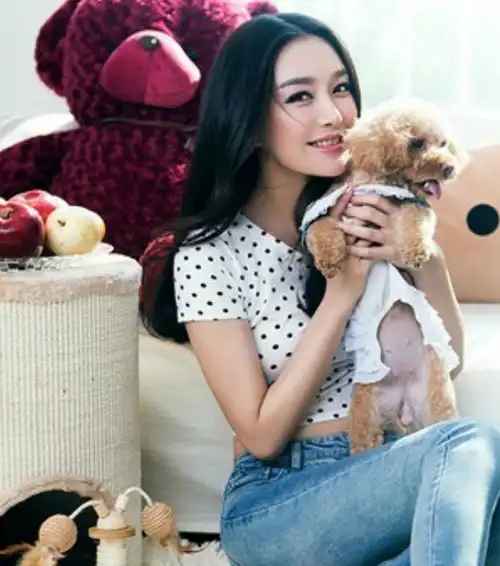 5种很萌的狗狗,昆凌,赵丽颖,蔡依林的狗子都上榜啦