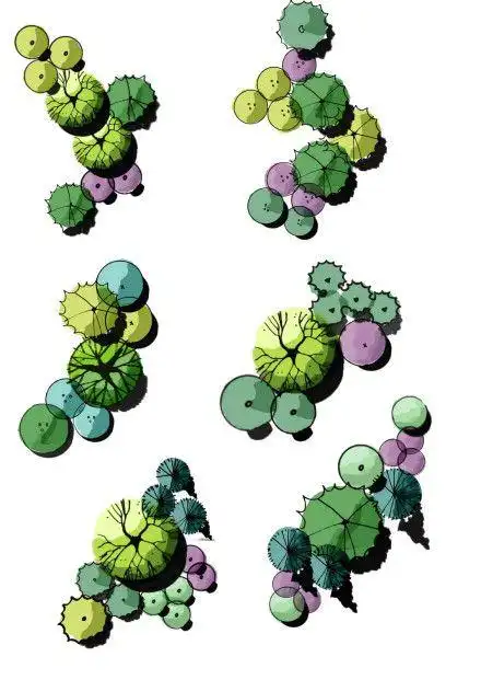 植物配置平面图例高清版可抠图psd上传了3张照片到微相册o网页链接