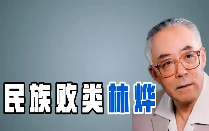 林烨帮美国研制导弹,公派留学选择留美,现想回国养老"没门"