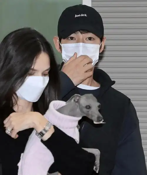 宋仲基和外籍老婆看球赛,凯蒂产后变沧桑,看起来像母子_女子_宋慧乔