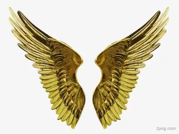 一对金色翅膀png素材透明免抠图片其他元素