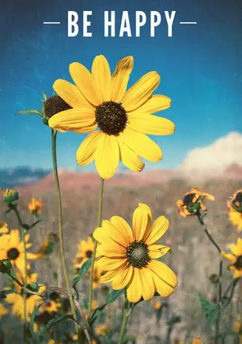 阳光 花 文字 治愈系 欧美风