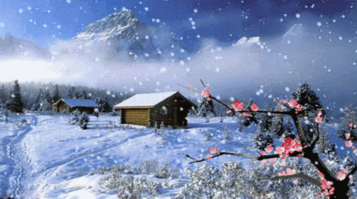 【gif-动图】— 用抠抠视频秀生成的gif动画(鲜花素材)