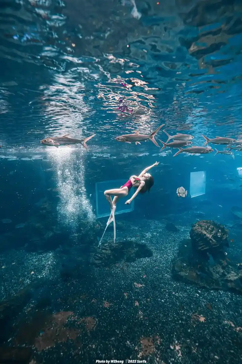 记得要奔走在自己的热爱里#自由潜 #潜水女孩 #慢下来看世界 - 抖音