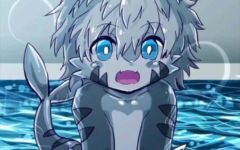 changed喵鲨篇重制版