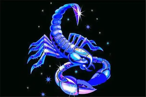 【天蝎座属哪个生肖最笨】哪个生肖的天蝎座厉害