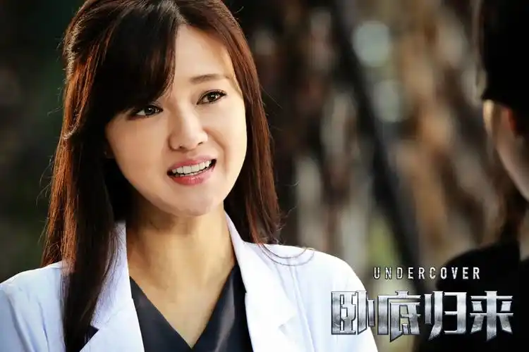 电视剧卧底归来海报剧照图片