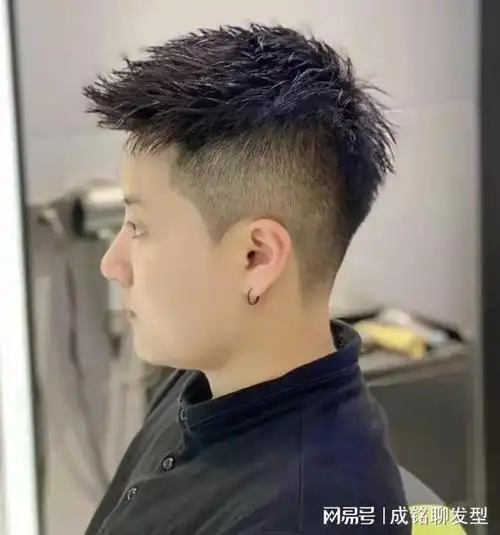 前刺头适合发质粗硬的男生,两边和后面剪短,顶部打薄以后头发呈现出