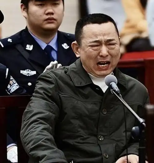 《狂飙》高启强原型刘汉,被称四川"土皇帝"心狠手辣敛财几百亿|刘维