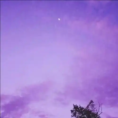 紫色系头像|好好生活,慢慢相遇