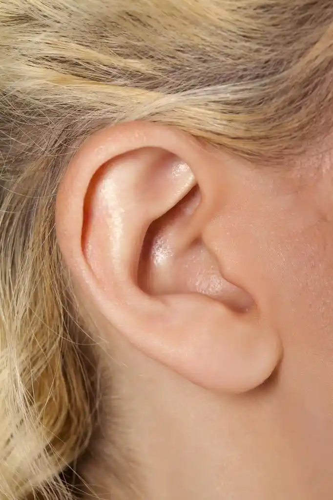 737 人耳,关闭了图像的人耳