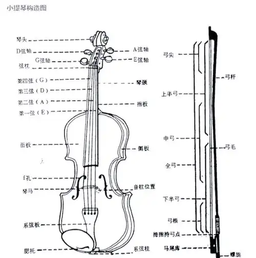 小提琴的结构与历史:揭秘这位音乐界的皇后