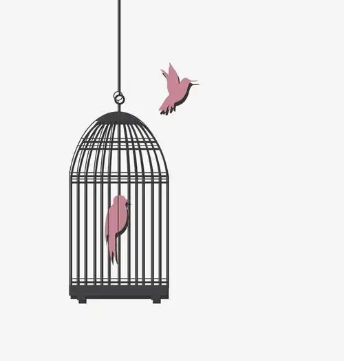 矢量笼中鸟